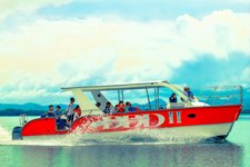 Best Low Price Whale Watching Excursions in Samana Bay Dominican Republic.