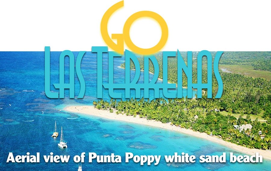 Las Terrenas Services: Real Estate Agents, Web Designer, Airport Transfers, Taxi, Etc.
